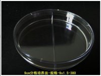 攀枝花塑料培养皿 二分格